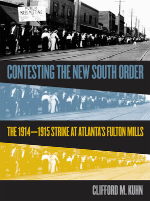 cover image of Contesting the New South Order